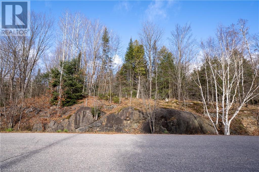 Lt 16 Pl Anita Avenue, North Bay, Ontario  P1A 0C7 - Photo 21 - 40673932