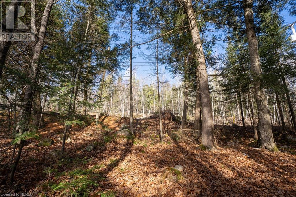 Lt 16 Pl Anita Avenue, North Bay, Ontario  P1A 0C7 - Photo 14 - 40673932