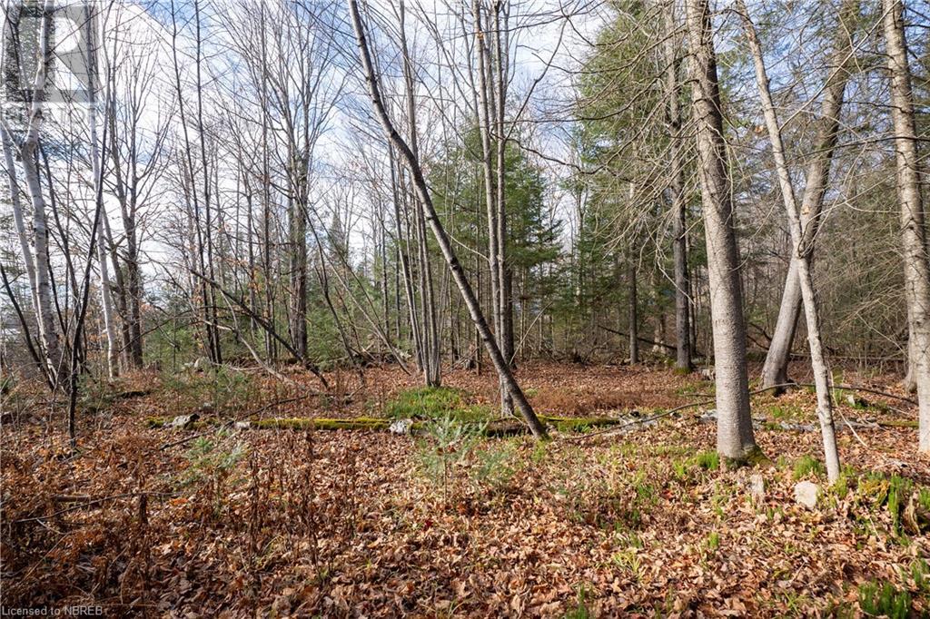 Lt 16 Pl Anita Avenue, North Bay, Ontario  P1A 0C7 - Photo 19 - 40673932