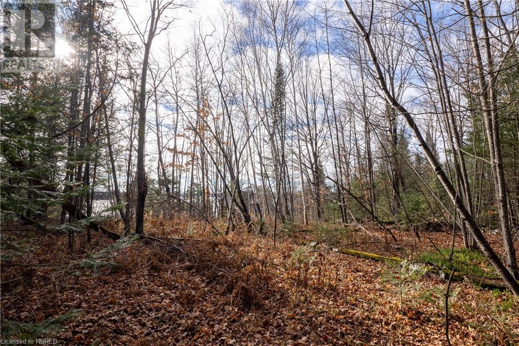 Lt 16 Pl Anita Avenue, North Bay, Ontario  P1A 0C7 - Photo 17 - 40673932