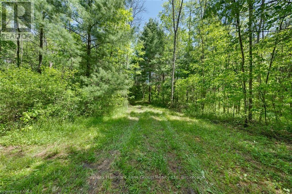 Lot 0 County Road 27, Stone Mills, Ontario  K0K 1Z0 - Photo 24 - X9410625