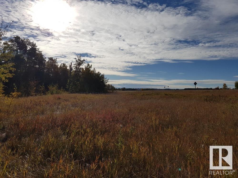 242075 Hwy 53, Rural Ponoka County, Alberta  T4E 1R1 - Photo 5 - E4413366