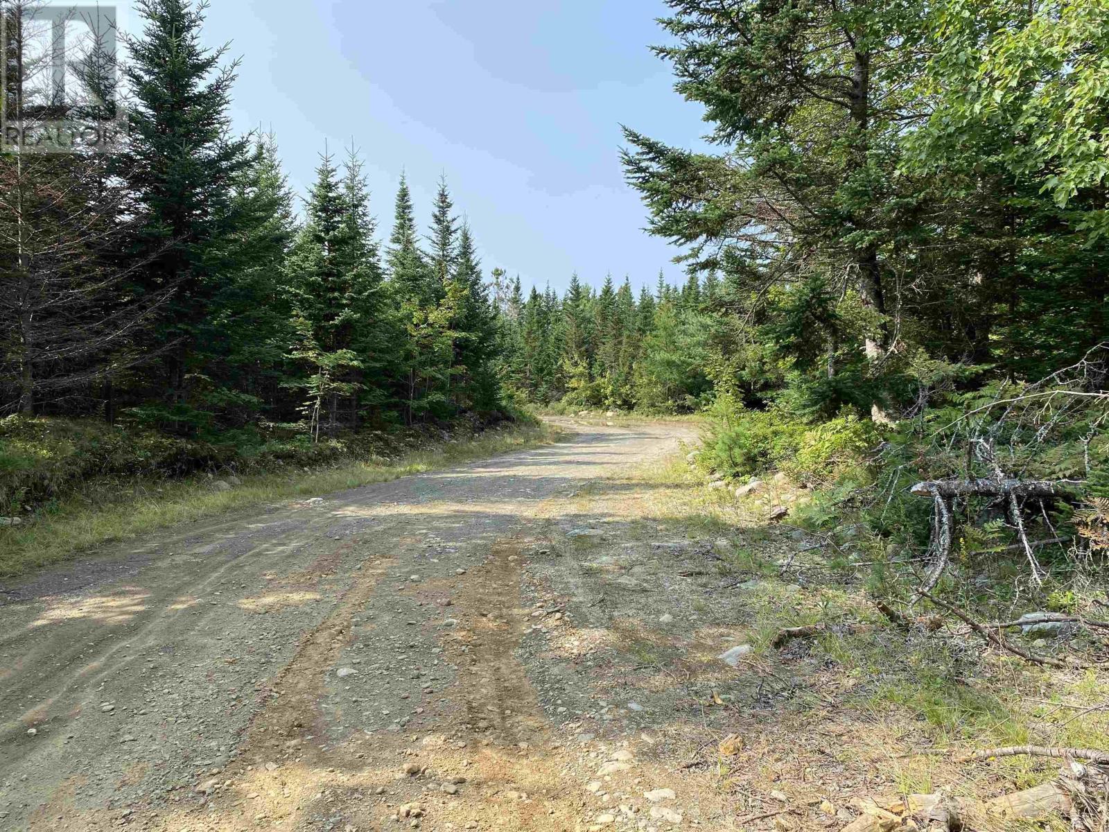 Lots Hill Road, Beech Hill Farms, Nova Scotia  B0T 1G0 - Photo 3 - 202403378