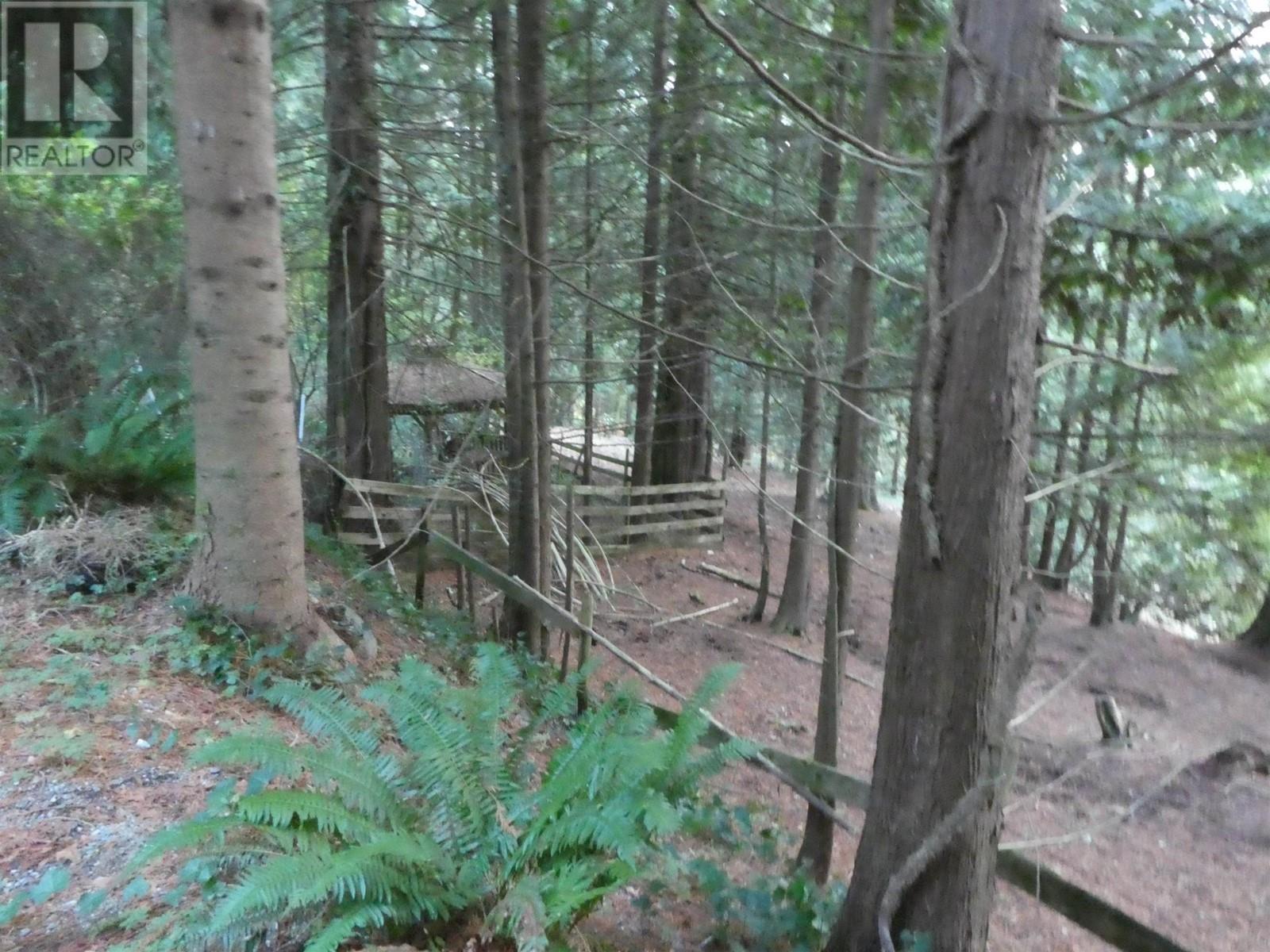 14042 232 Street, Maple Ridge, British Columbia  V4R 2G5 - Photo 15 - R2943419