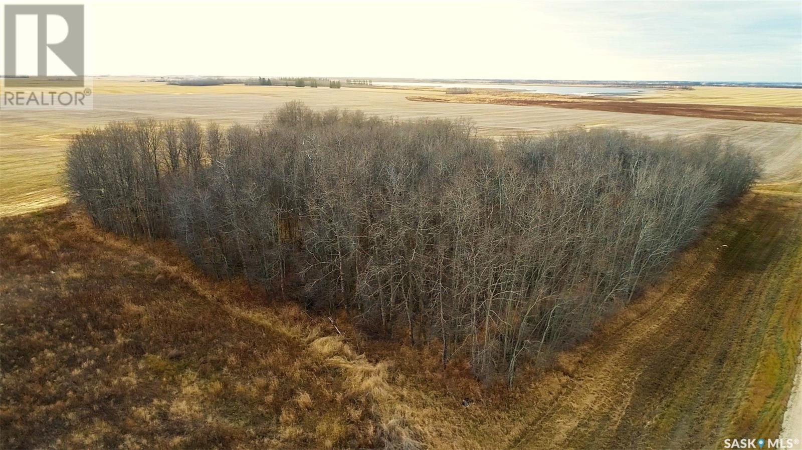 158 Acres Nw-10-41-19-W2, Lake Lenore Rm No. 399, Saskatchewan  S0K 2G0 - Photo 13 - SK987344