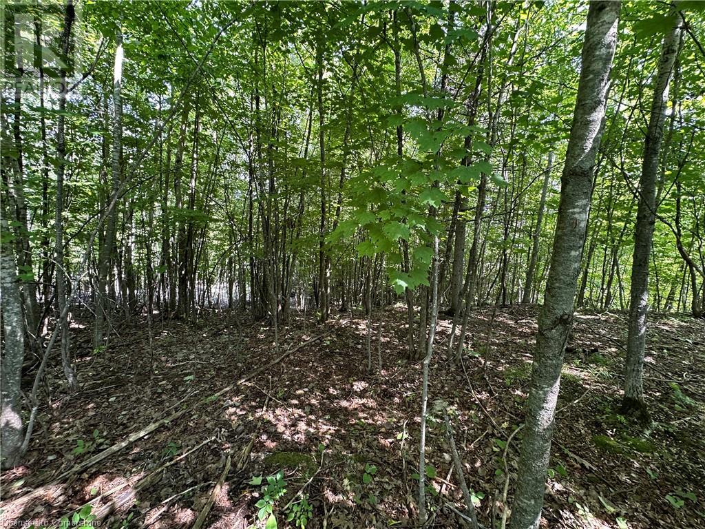 3024 Stoneridge Road, Ottawa, Ontario  K0A 1T0 - Photo 1 - 40676670