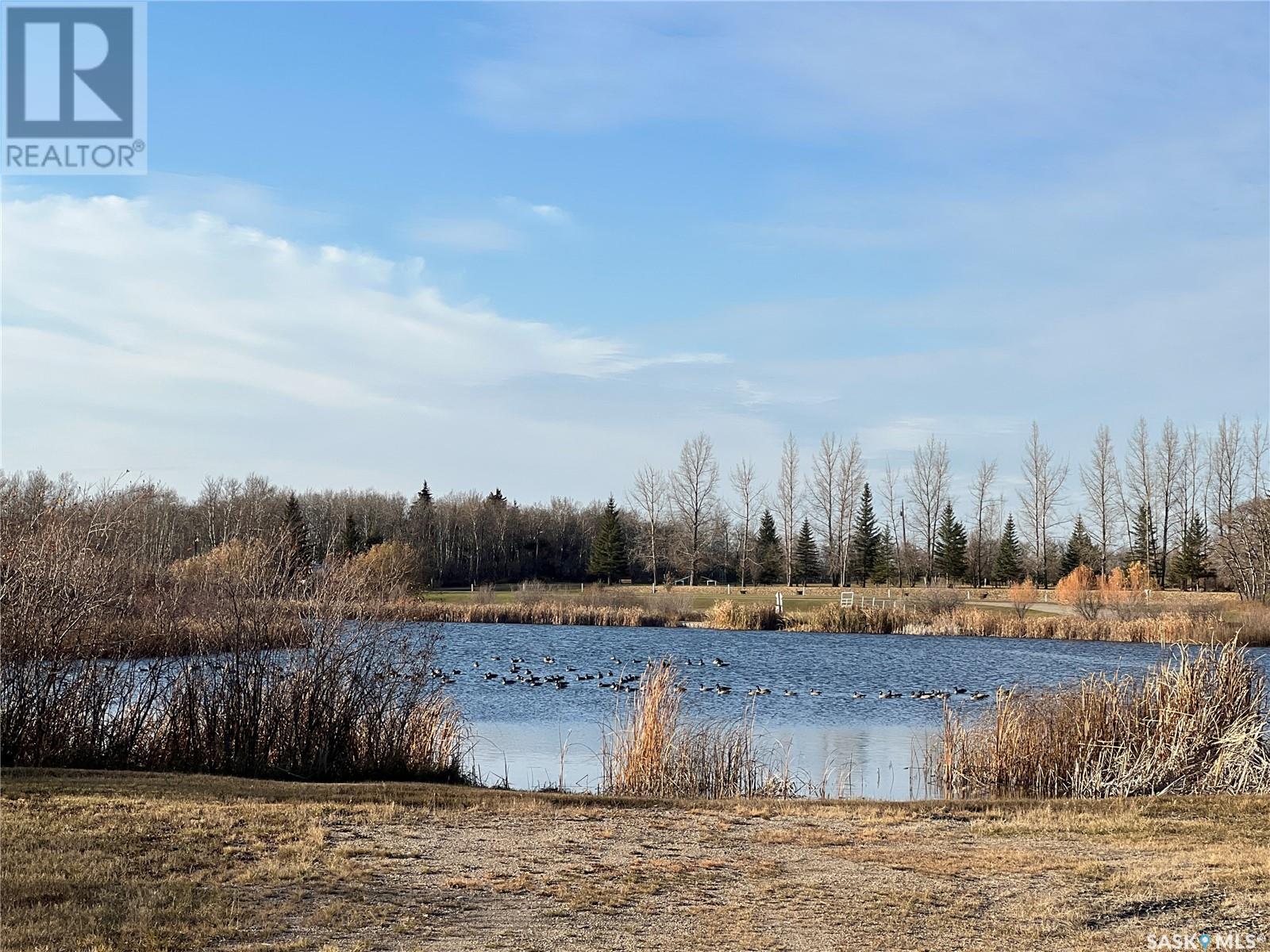 63 Lakewood Drive, Spy Hill Rm No. 152, Saskatchewan  S0A 3W0 - Photo 5 - SK988069