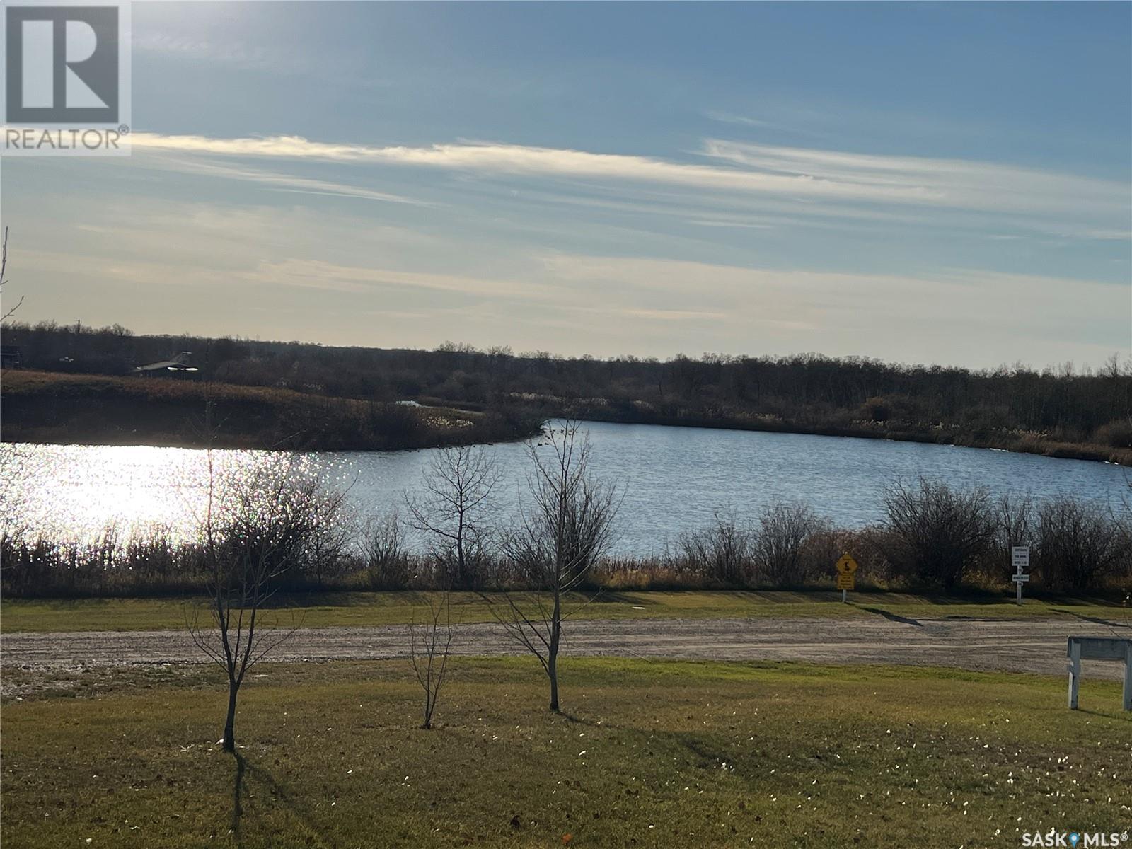63 Lakewood Drive, Spy Hill Rm No. 152, Saskatchewan  S0A 3W0 - Photo 6 - SK988069