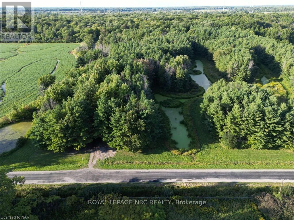 Pt Lt 8 Rymer Road, Haldimand County, Ontario  N0A 1K0 - Photo 4 - X9410905