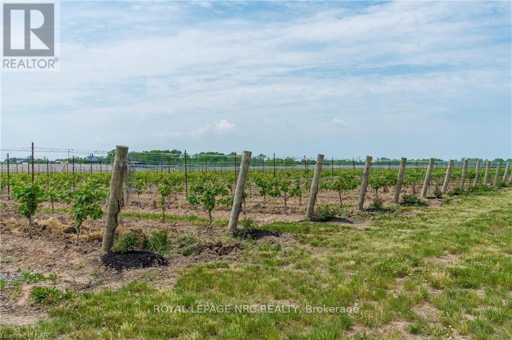 N/a Airport Road, Niagara-On-The-Lake, Ontario  L0S 1J0 - Photo 7 - X9411845