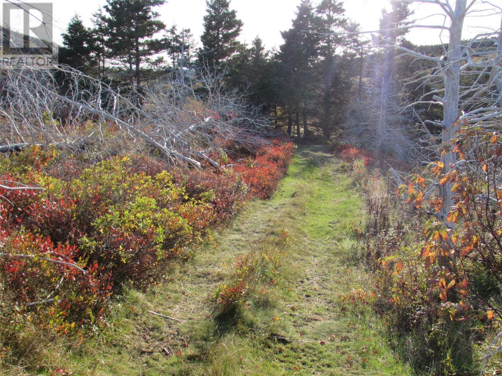 210-220 Point Road, Chapel's Cove, Newfoundland & Labrador  A0A 1V0 - Photo 22 - 1270237