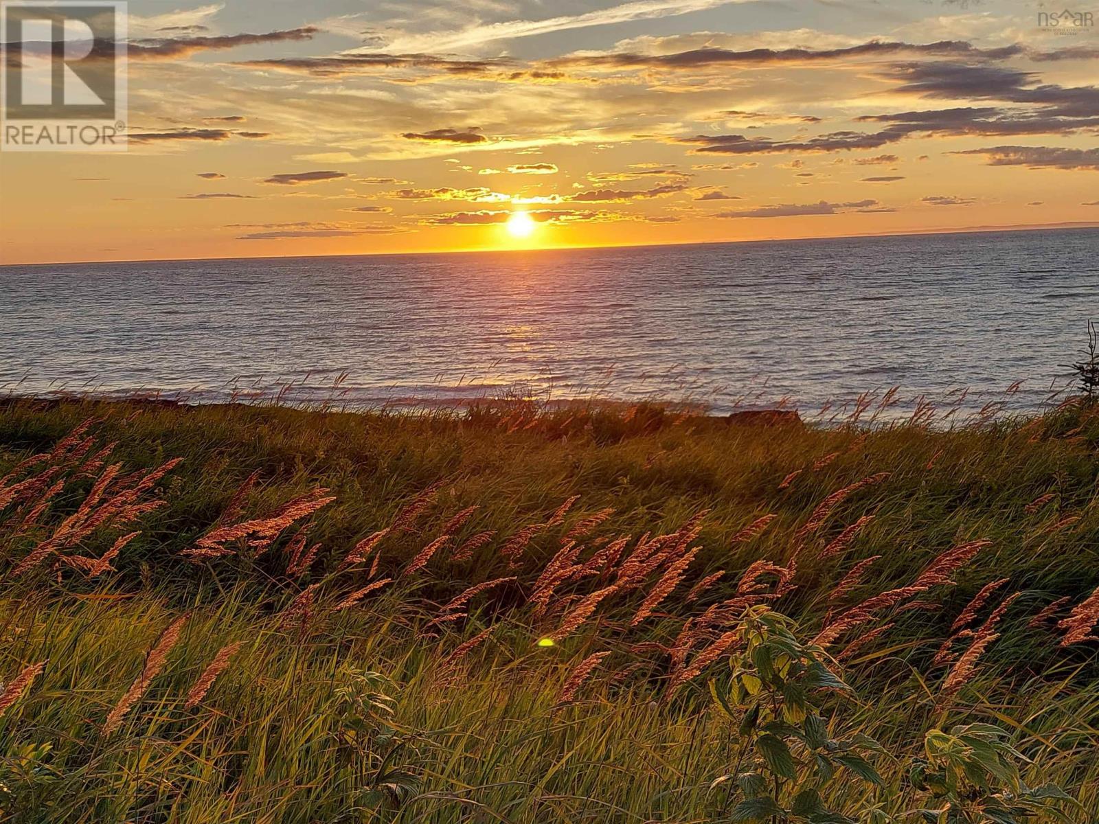 Shore Road East E, Port George, Nova Scotia  B0S 1P0 - Photo 2 - 202422318