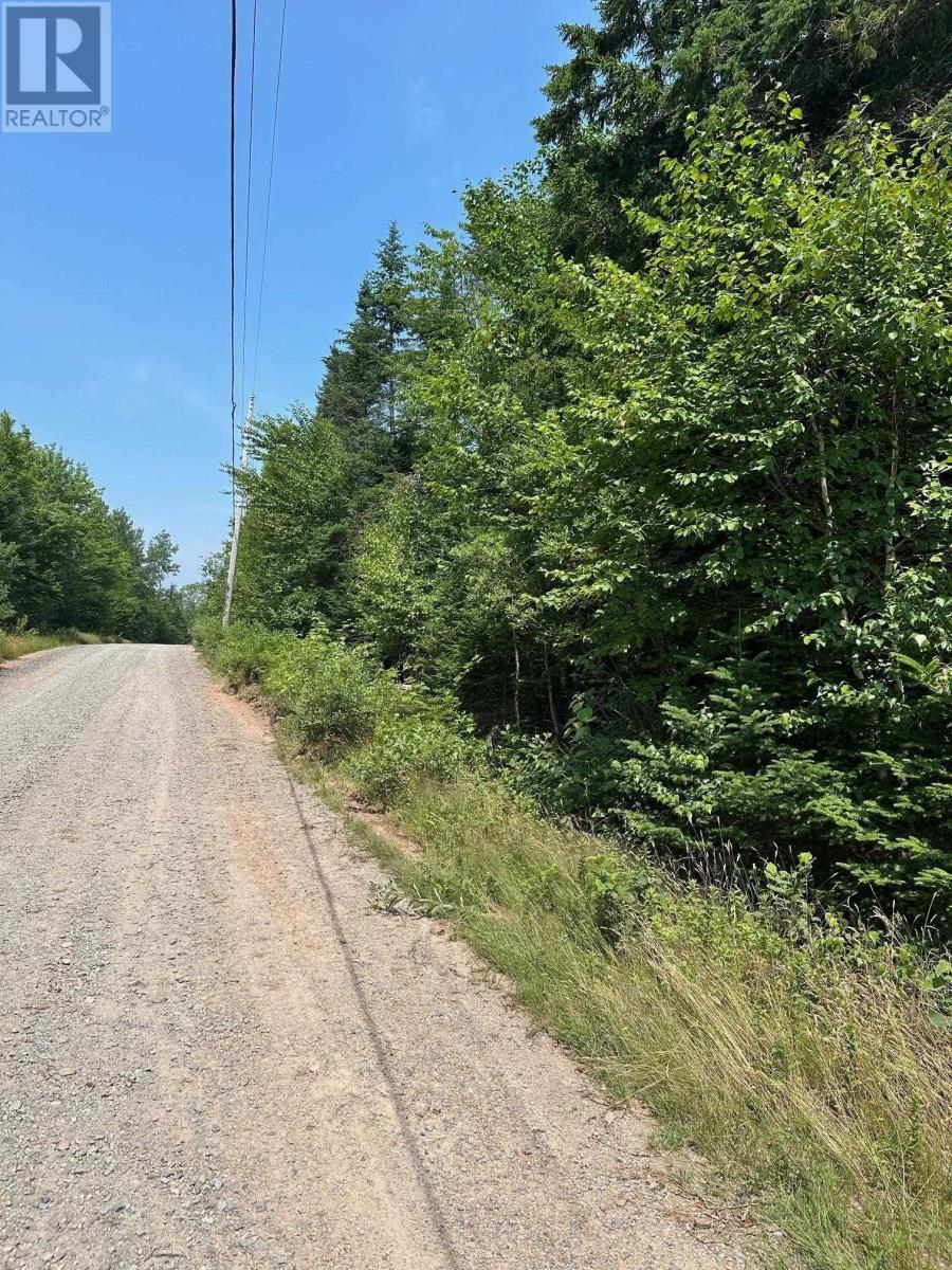 Lot 61a Evergreen Rise, New Russell, Nova Scotia  B0J 2M0 - Photo 3 - 202426454