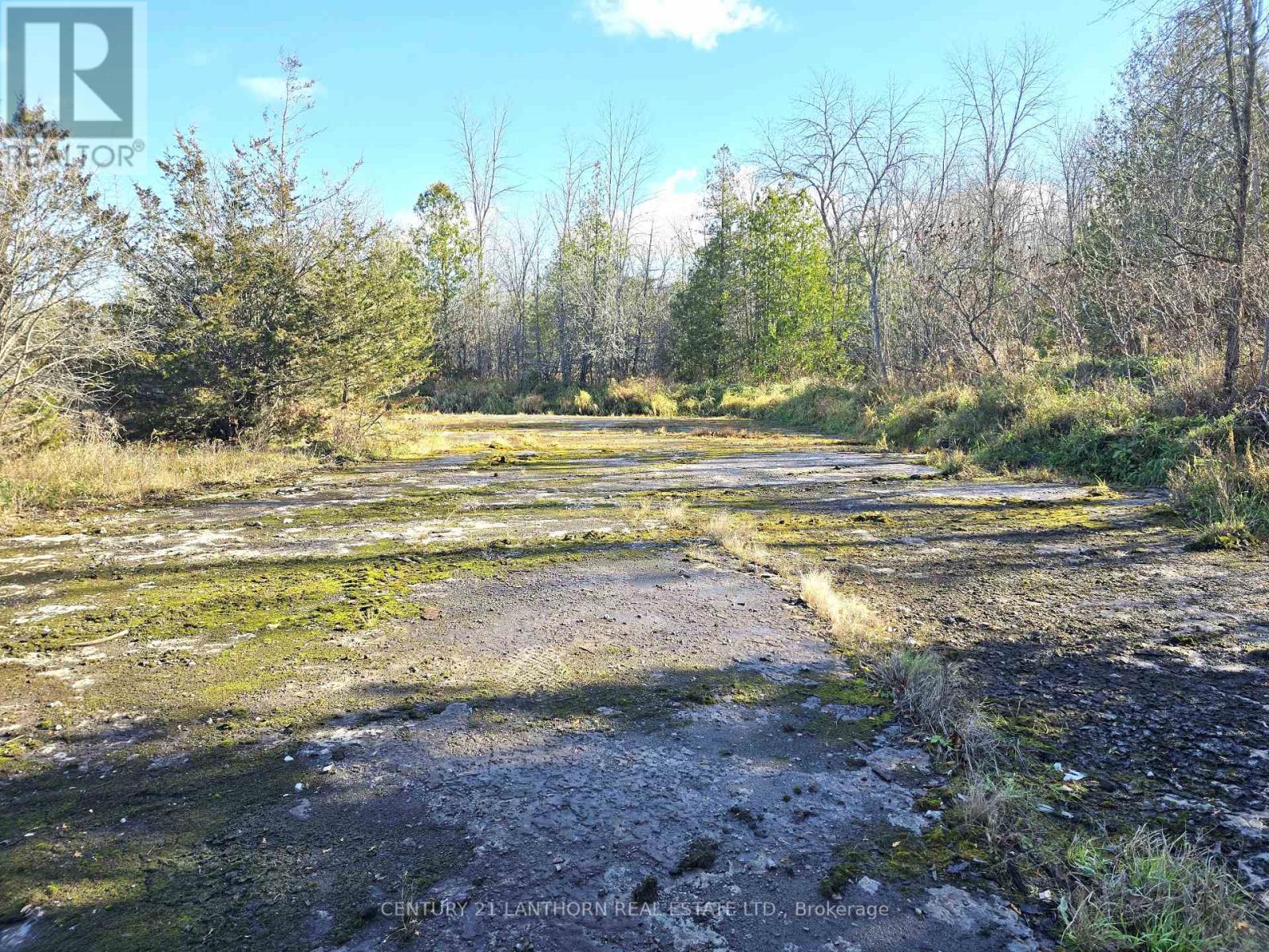 0 Enright Road, Tyendinaga, Ontario  K0K 3A0 - Photo 10 - X10422415