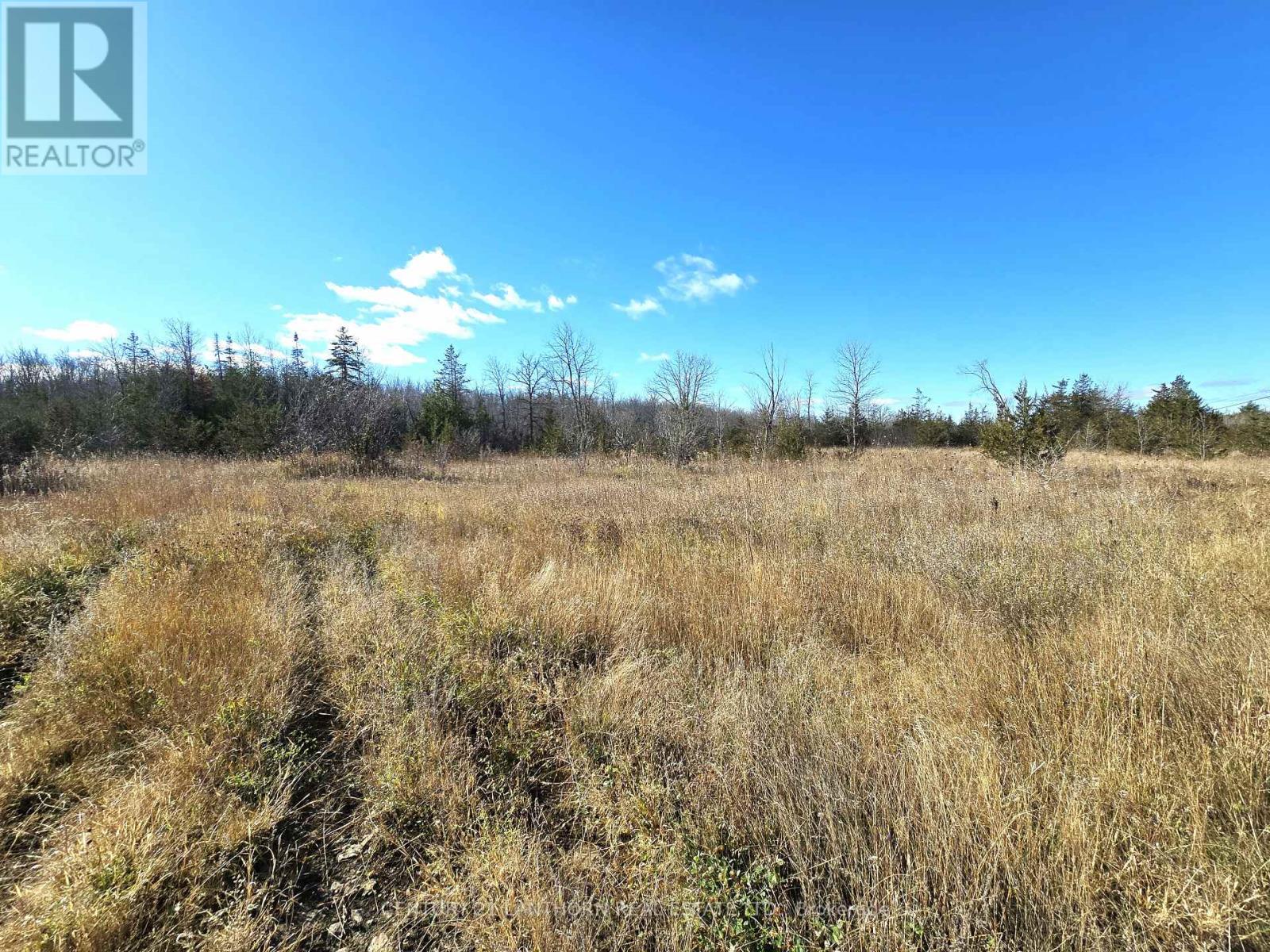 0 Enright Road, Tyendinaga, Ontario  K0K 3A0 - Photo 14 - X10422415