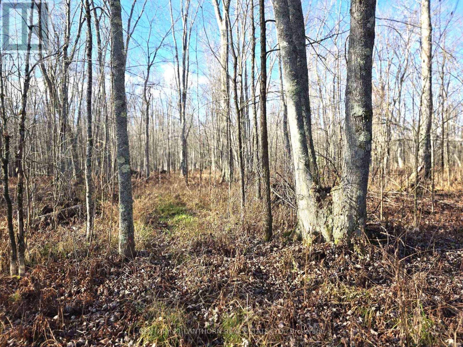 0 Enright Road, Tyendinaga, Ontario  K0K 3A0 - Photo 2 - X10422415