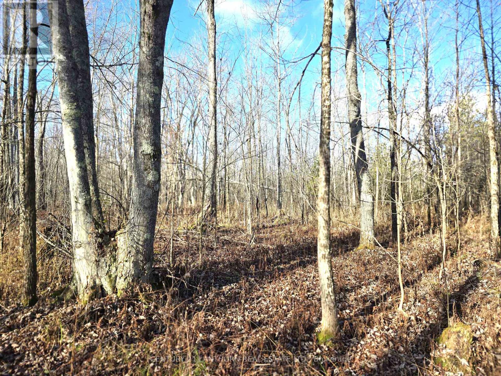 0 Enright Road, Tyendinaga, Ontario  K0K 3A0 - Photo 3 - X10422415