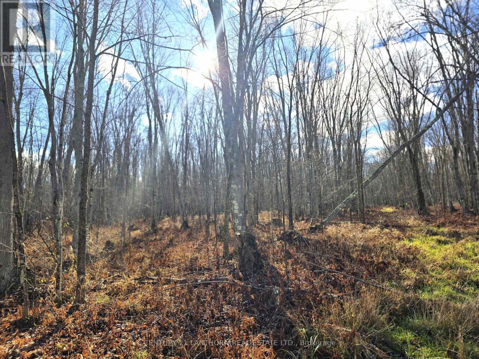 0 Enright Road, Tyendinaga, Ontario  K0K 3A0 - Photo 4 - X10422415