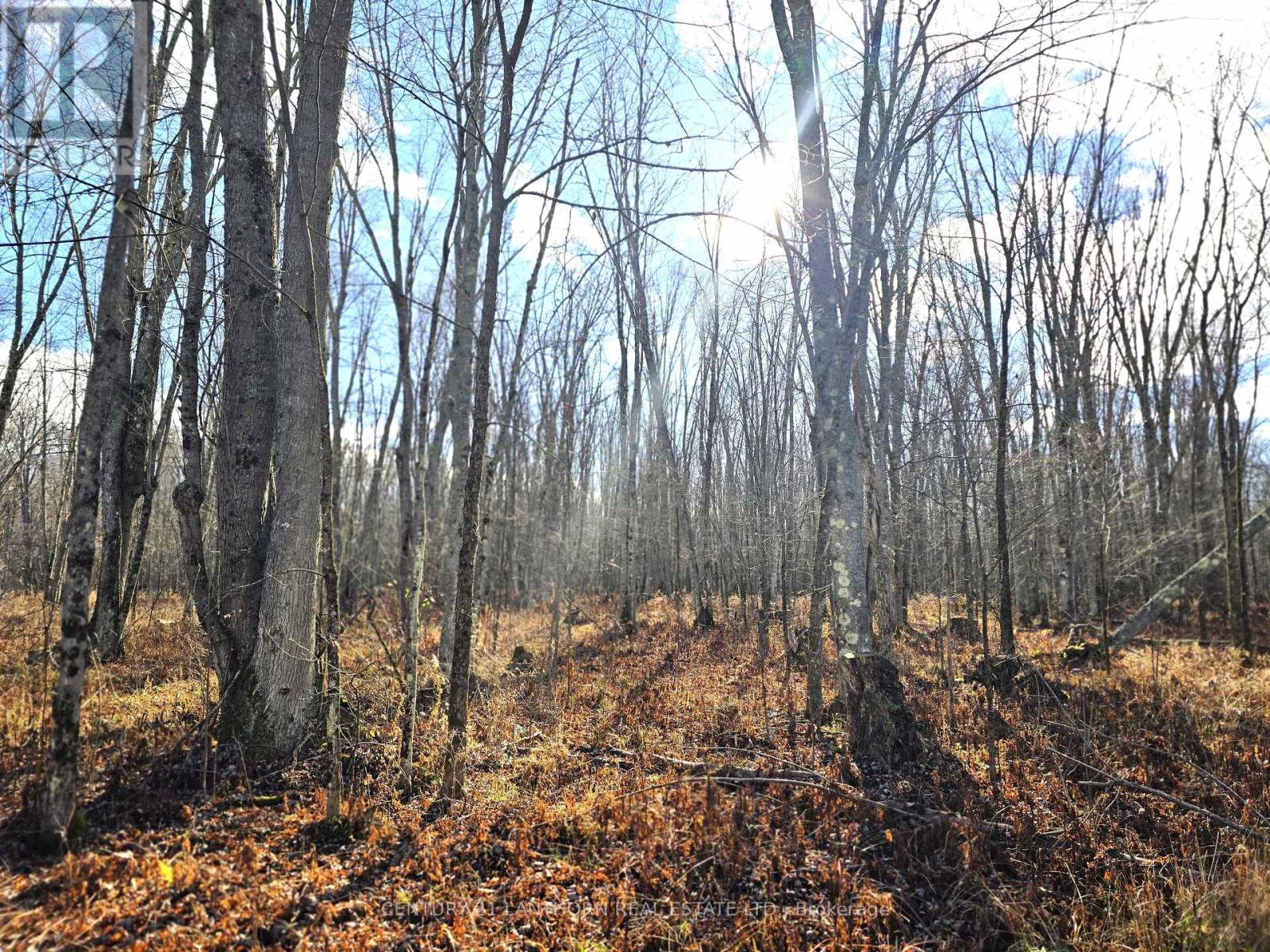 0 Enright Road, Tyendinaga, Ontario  K0K 3A0 - Photo 5 - X10422415