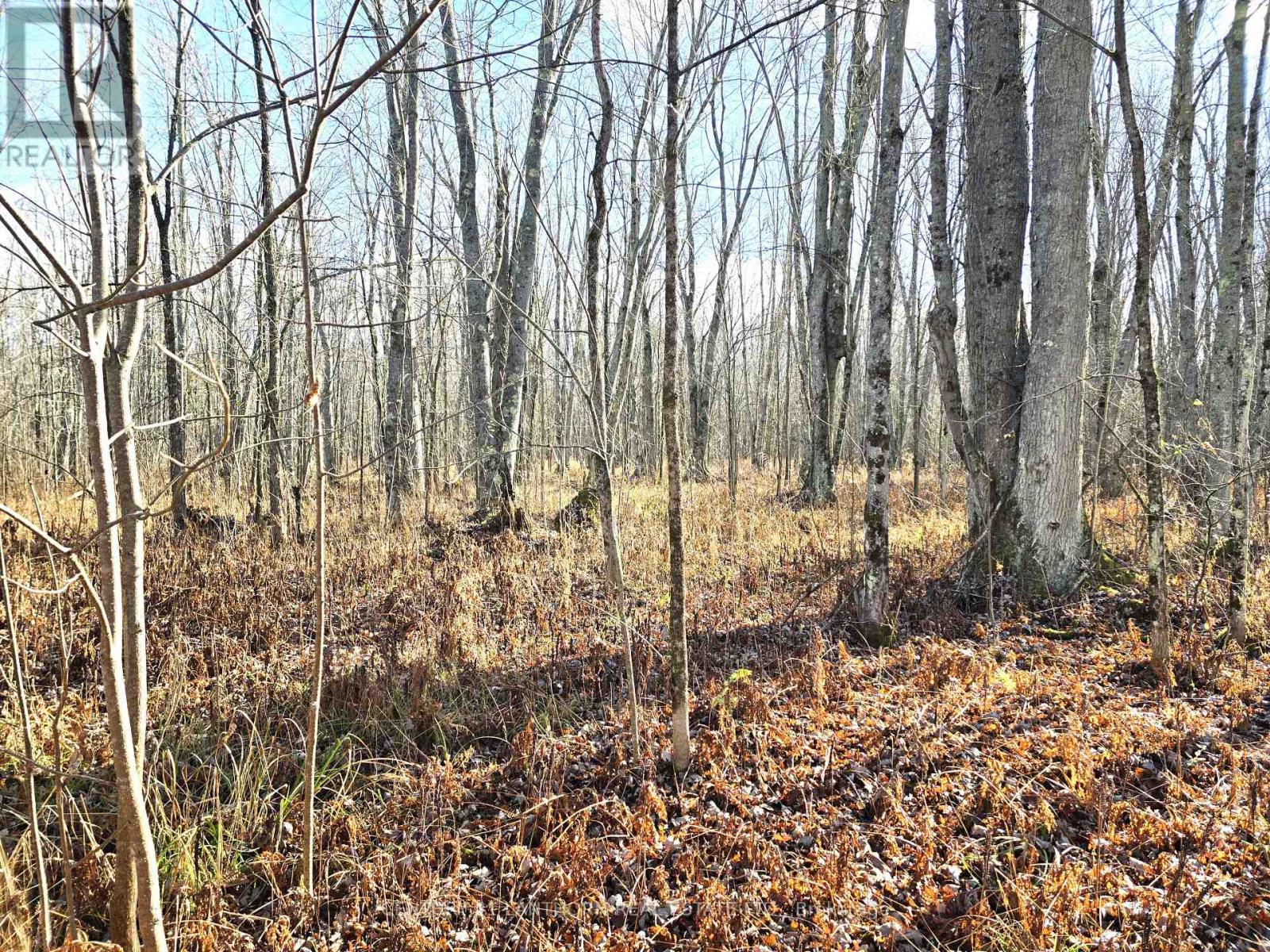 0 Enright Road, Tyendinaga, Ontario  K0K 3A0 - Photo 6 - X10422415