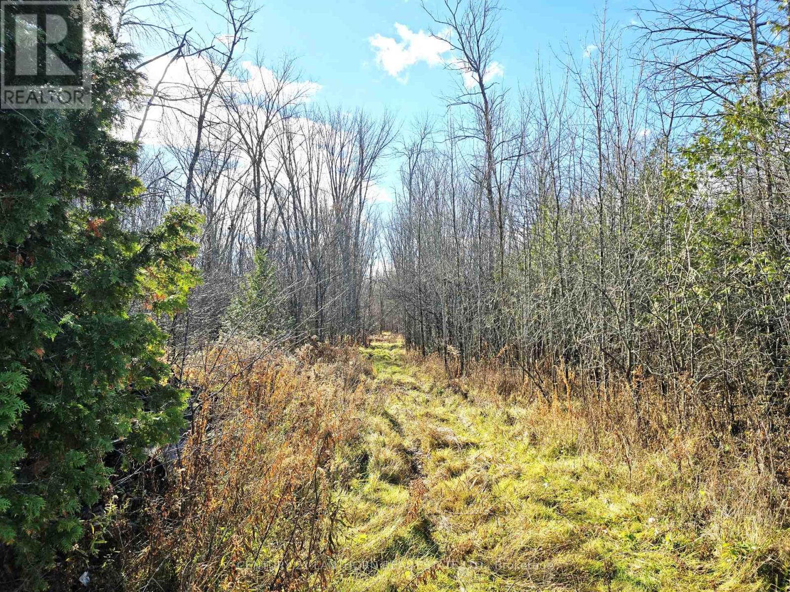 0 Enright Road, Tyendinaga, Ontario  K0K 3A0 - Photo 7 - X10422415