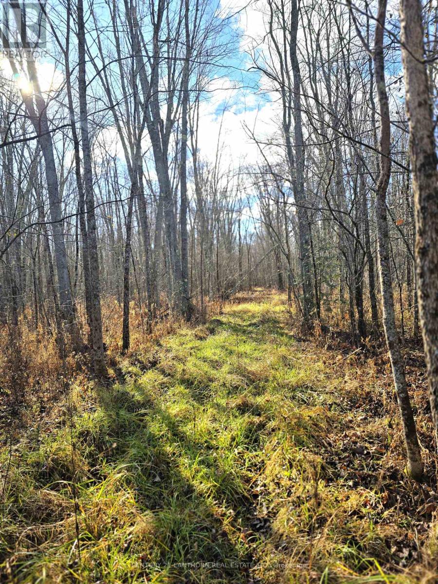 0 Enright Road, Tyendinaga, Ontario  K0K 3A0 - Photo 8 - X10422415