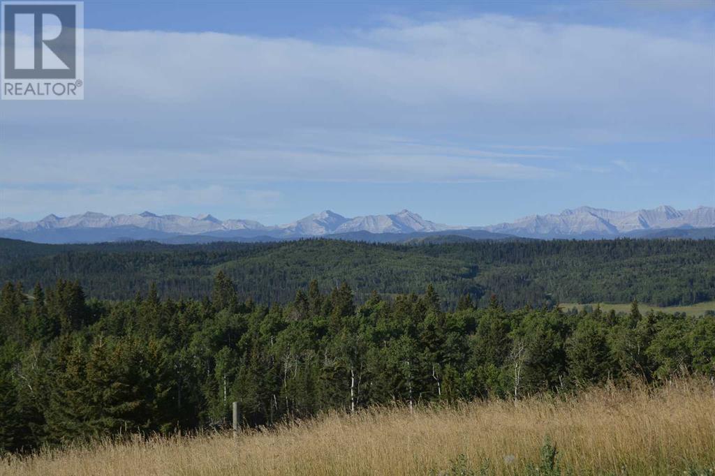 Lot 13 Whiskey Springs Hill W, Rural Foothills County, Alberta  T0L 1W4 - Photo 31 - A2178387