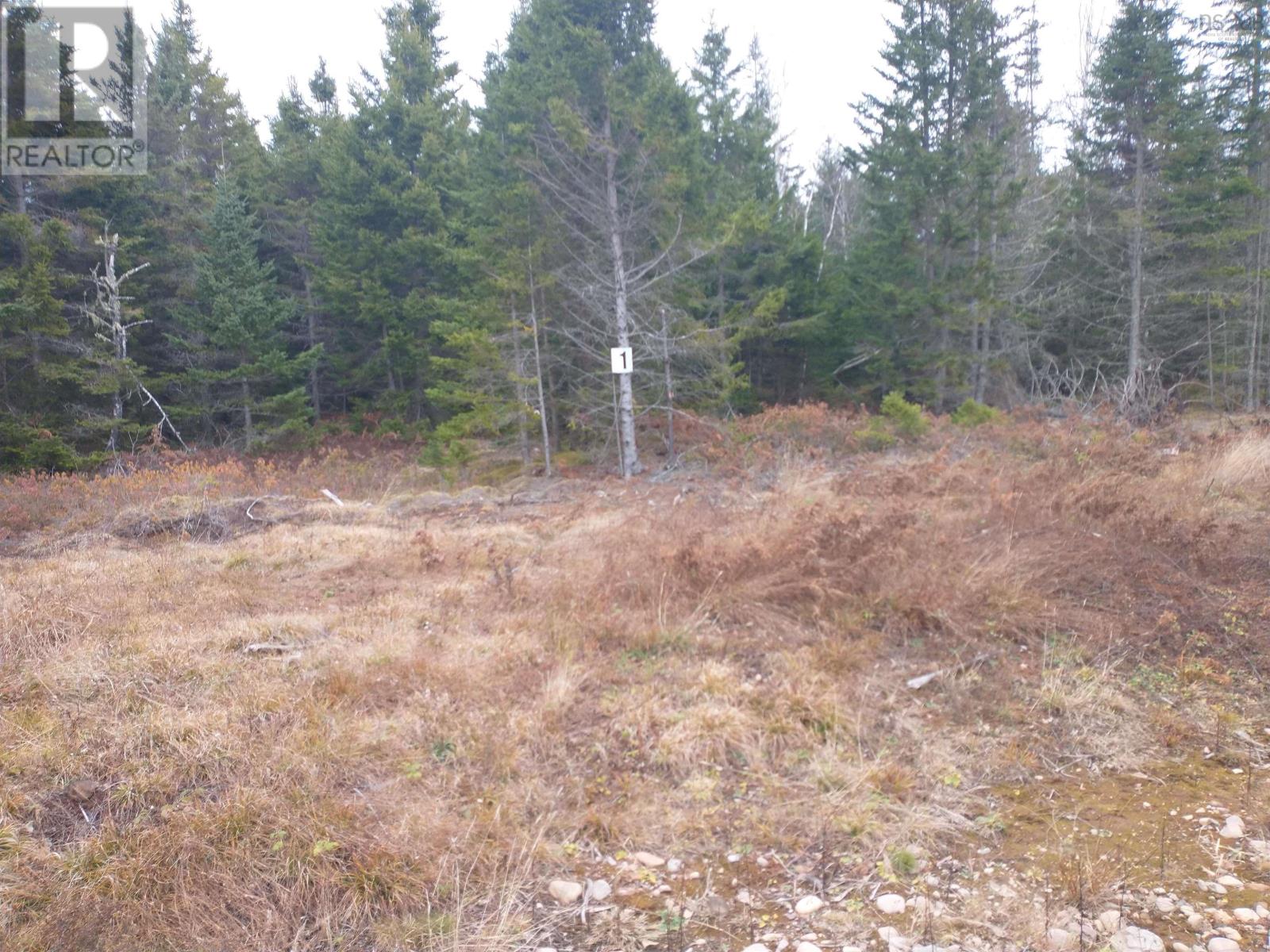 Lot 1 Dance Hall Lane, Portapique, Nova Scotia  B0M 1B0 - Photo 1 - 202426563