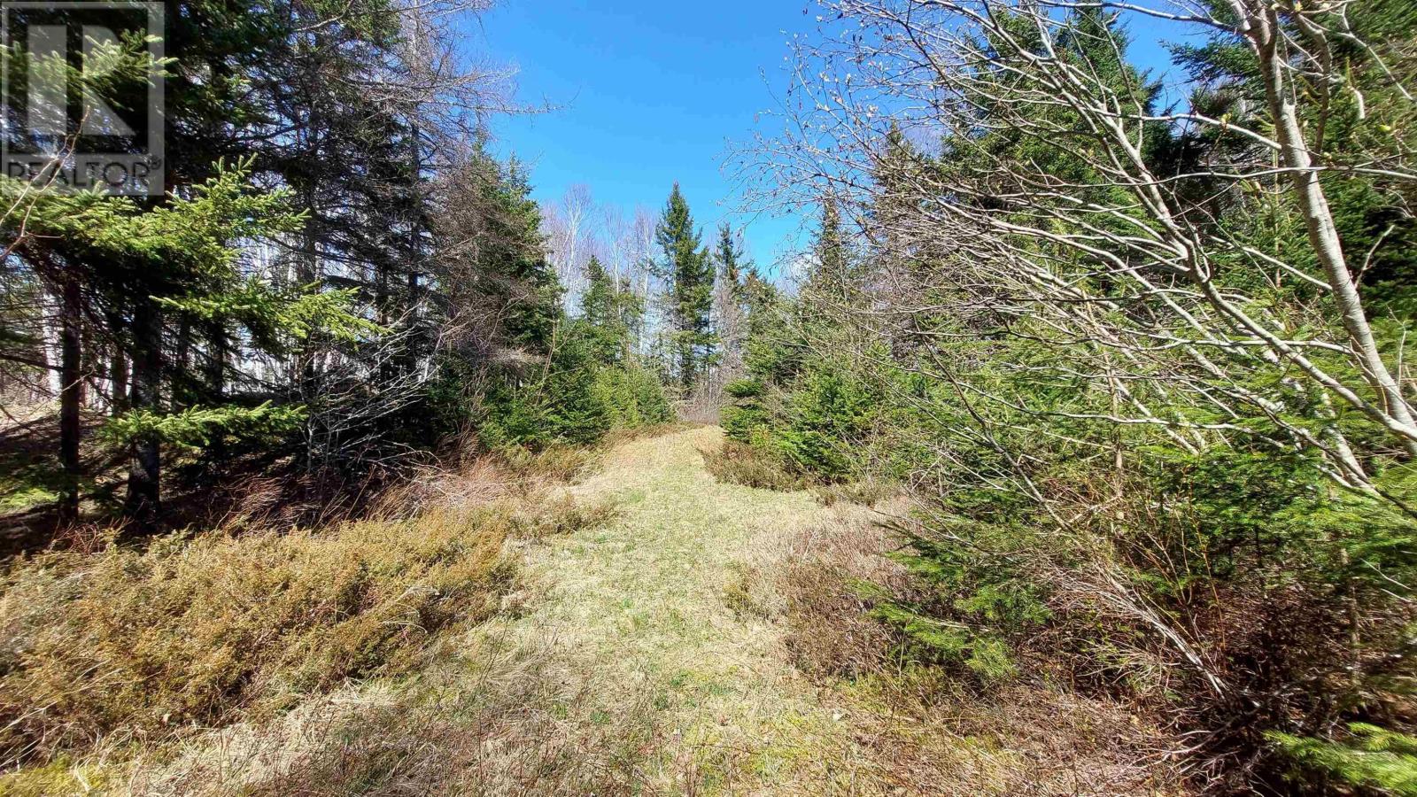 Lot 21a Jonathan R Bouman Ln, Evanston, Nova Scotia  B0E 1J0 - Photo 7 - 202422143