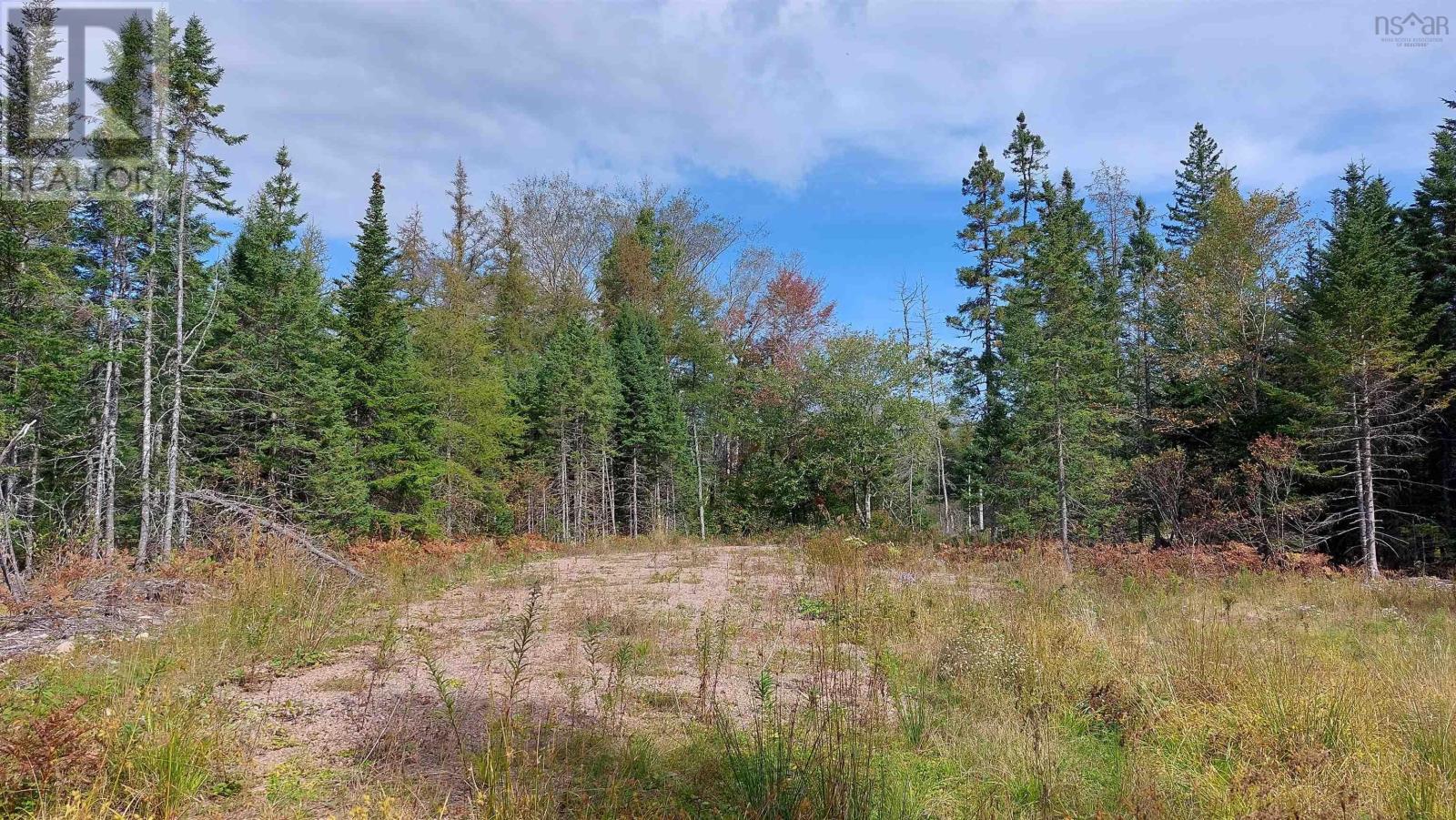 Lot 7 Lower River Rd, Cleveland, Nova Scotia  B0E 1J0 - Photo 11 - 202426076