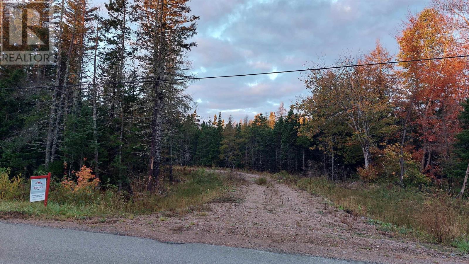 Lot 7 Lower River Rd, Cleveland, Nova Scotia  B0E 1J0 - Photo 4 - 202426076