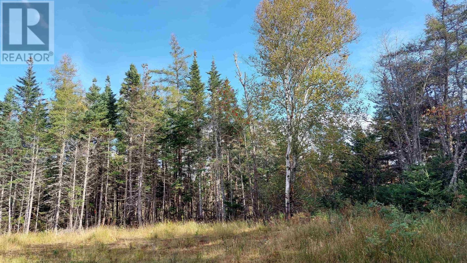 Lot 7 Lower River Rd, Cleveland, Nova Scotia  B0E 1J0 - Photo 6 - 202426076