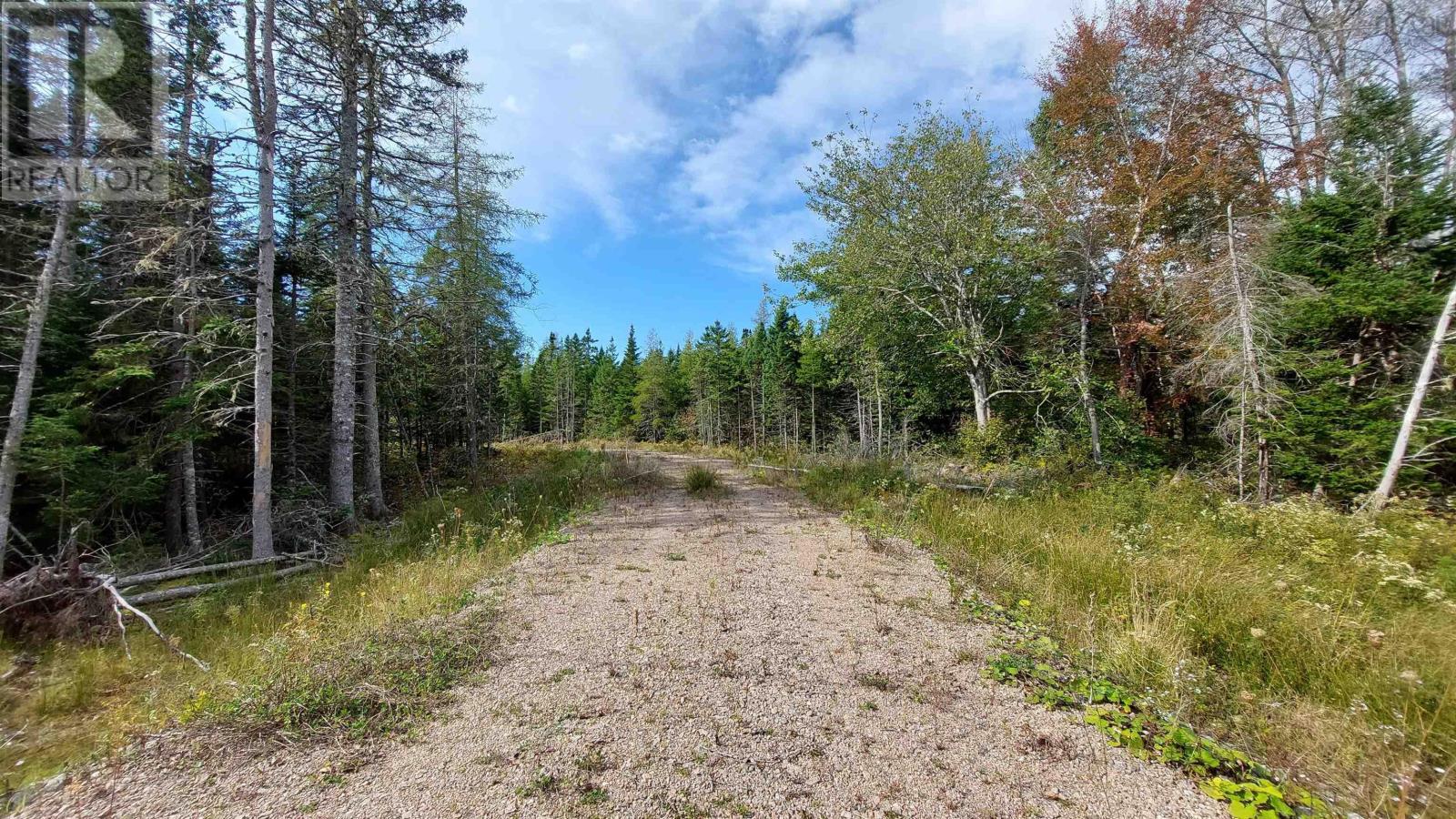 Lot 7 Lower River Rd, Cleveland, Nova Scotia  B0E 1J0 - Photo 8 - 202426076