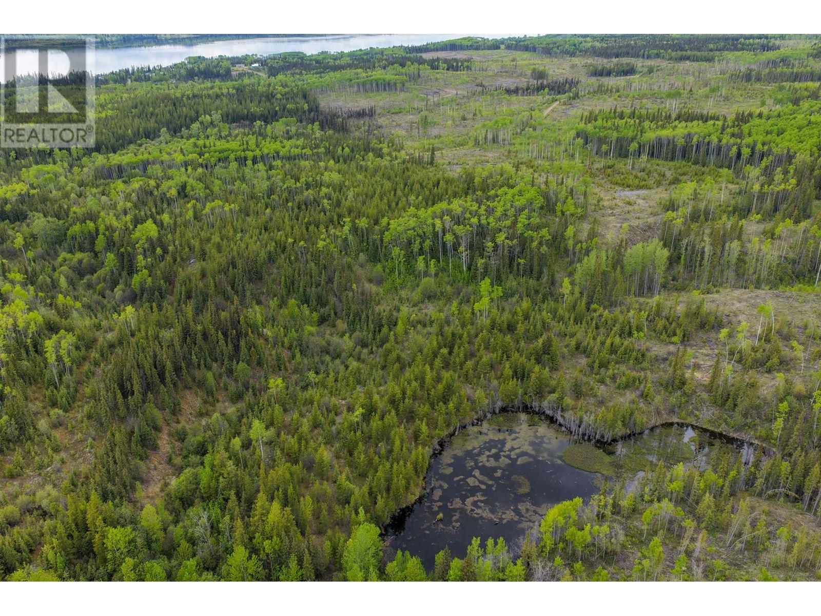 3655 Babine Lake Road, Burns Lake, British Columbia V0J 1E1 - Photo 10 - R2944511