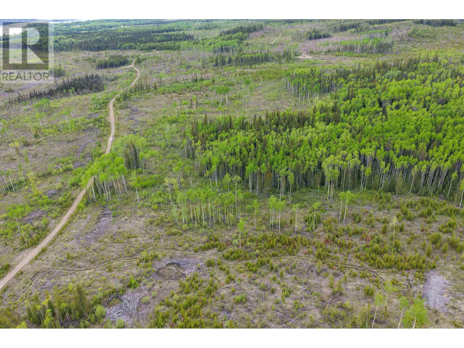 3655 Babine Lake Road, Burns Lake, British Columbia V0J 1E1 - Photo 13 - R2944511