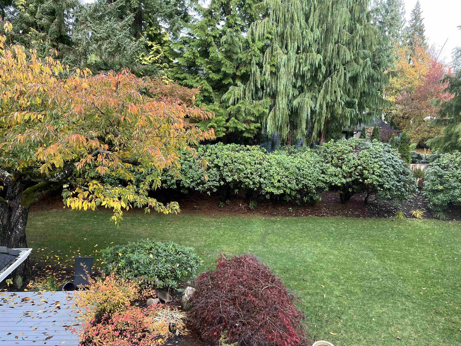 13621 18 Avenue, Surrey, British Columbia  V4A 1W5 - Photo 30 - R2943116