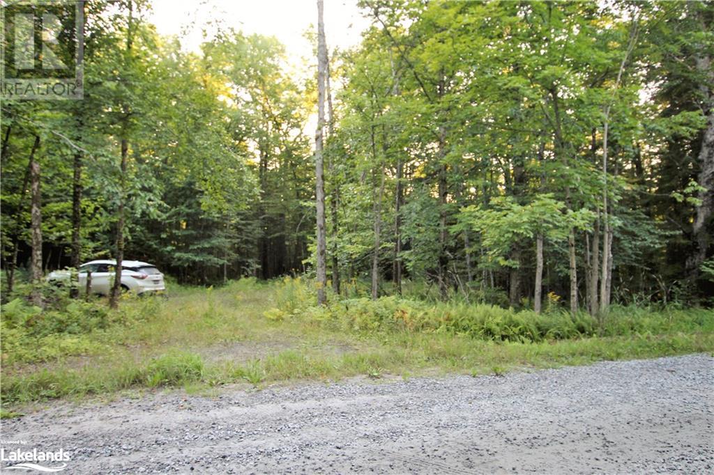 0a Pilgers Road, Nipissing, Ontario  P0H 1W0 - Photo 11 - 40677915