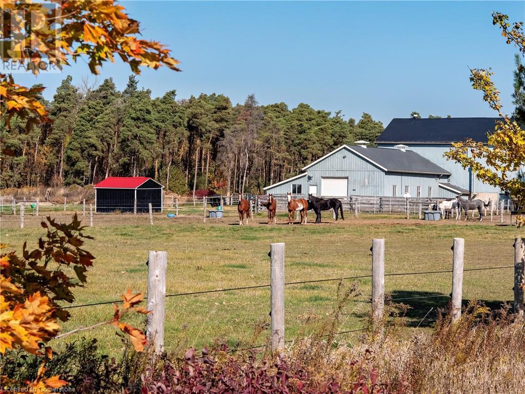 7262 Sideroad 15, Moorefield, Ontario N0G 2K0 - Photo 4 - 40676576