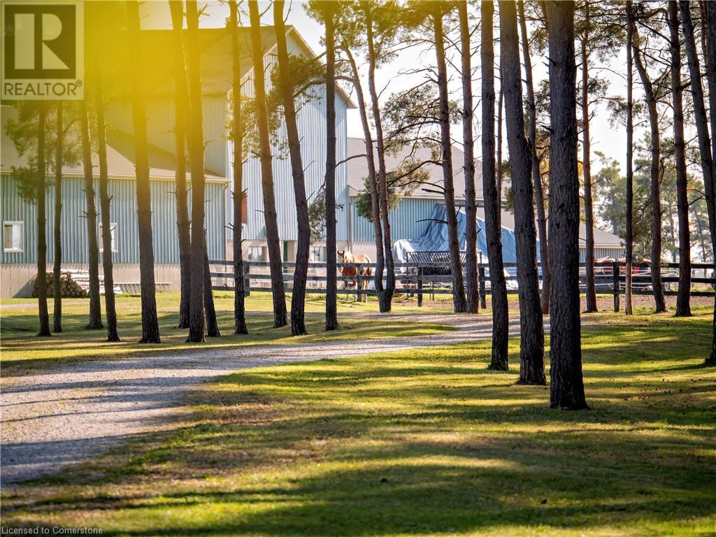 7262 Sideroad 15, Moorefield, Ontario N0G 2K0 - Photo 5 - 40676576