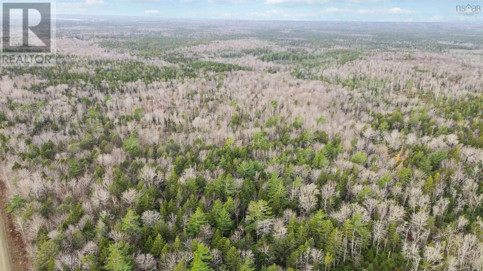 Lots Sissiboo Road, Bear River, Nova Scotia  B0S 1B0 - Photo 10 - 202426725