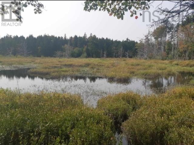 Lots Sissiboo Road, Bear River, Nova Scotia  B0S 1B0 - Photo 7 - 202426725