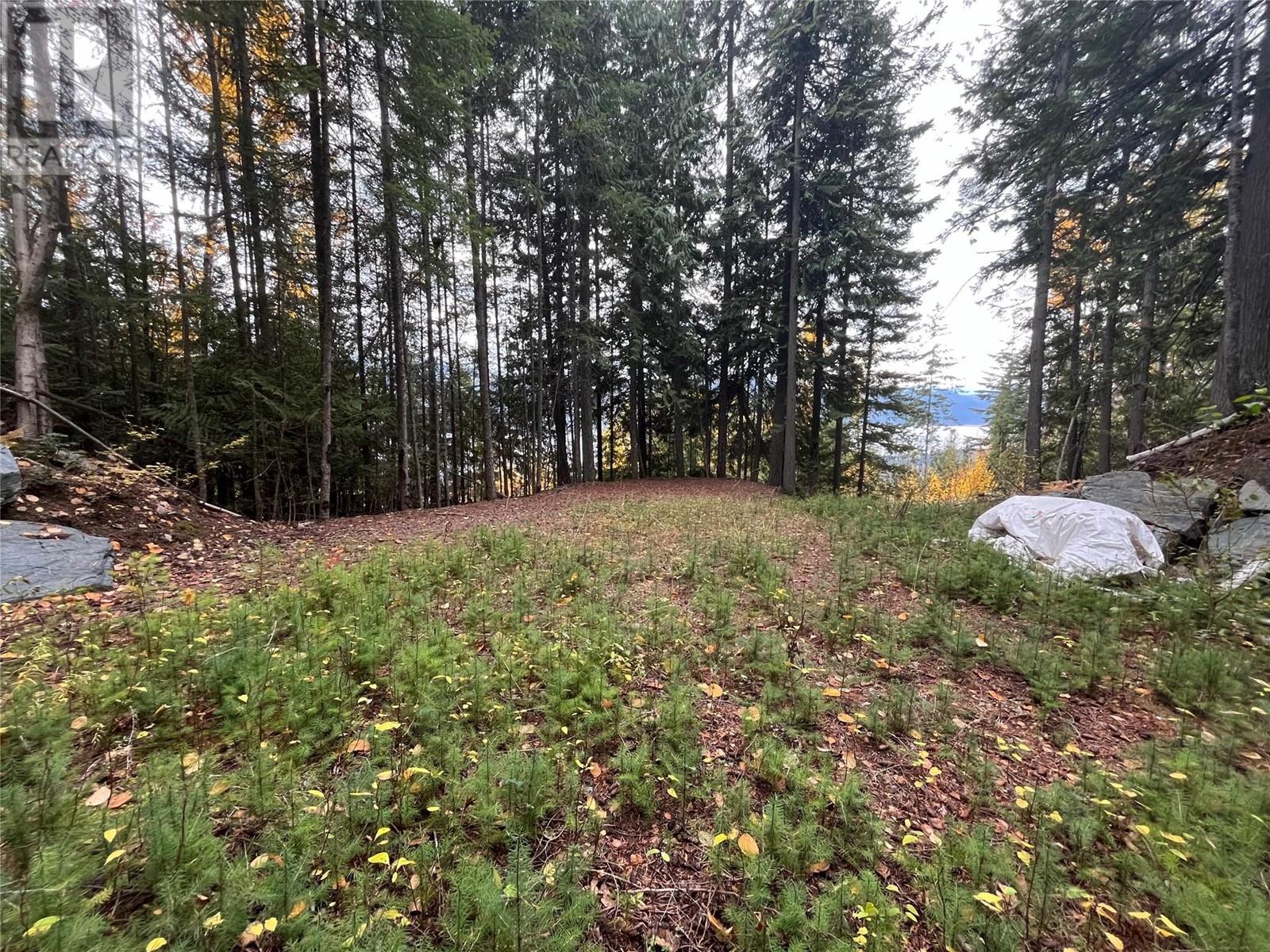 7423 Anglemont Way, Anglemont, British Columbia  V0E 1M8 - Photo 1 - 10328670