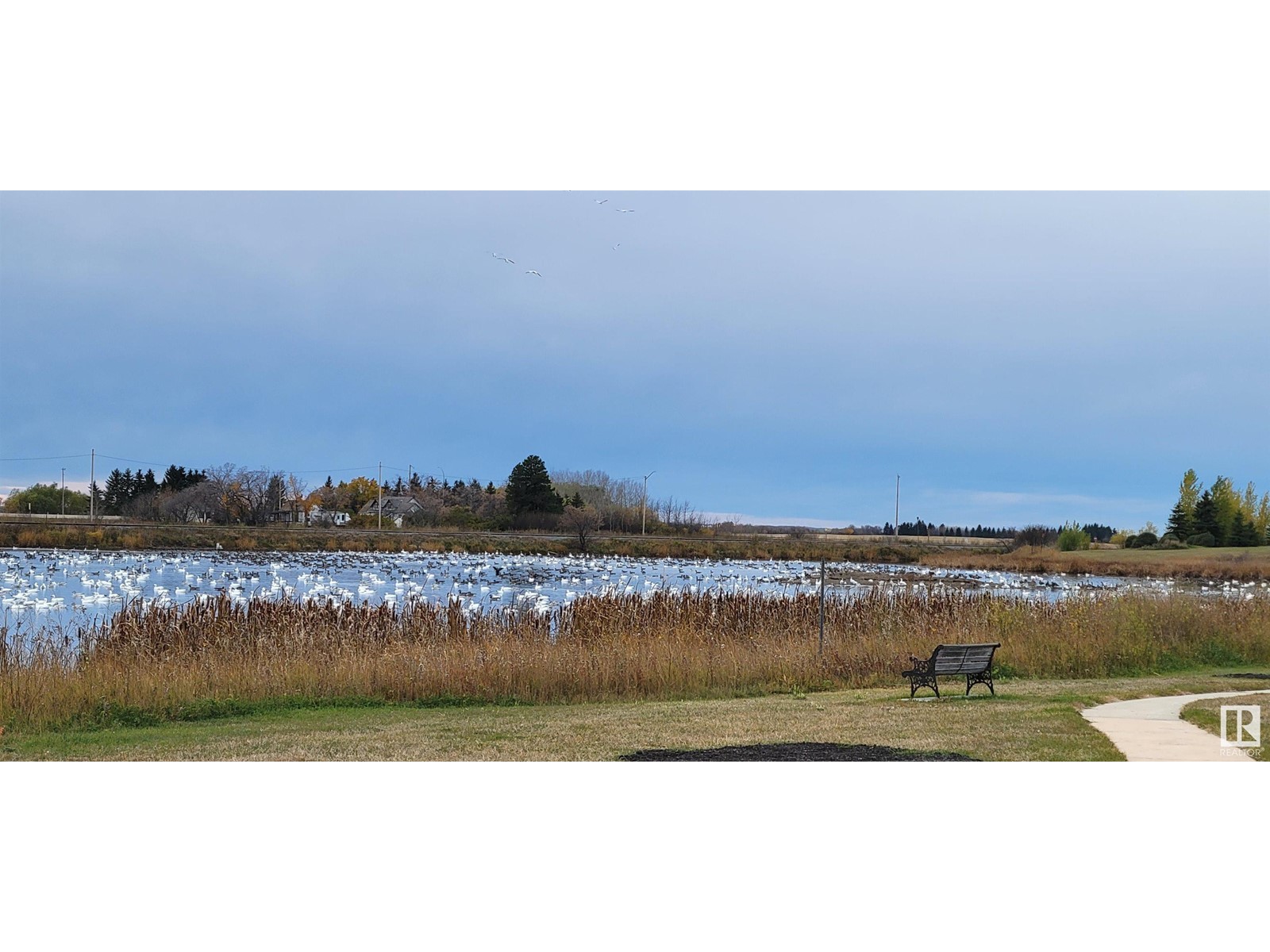 5028 50 Av, Holden, Alberta  T0B 2C0 - Photo 2 - E4413777