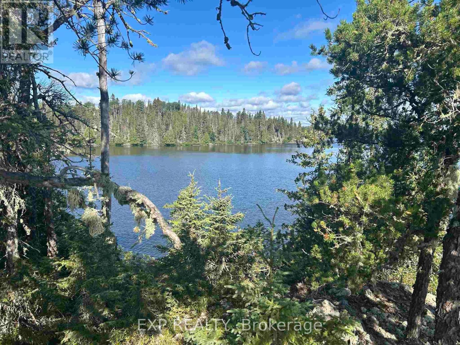 Island Sesekinika Lake, Timiskaming Remote Area, Ontario  P0K 1S0 - Photo 5 - T9293085