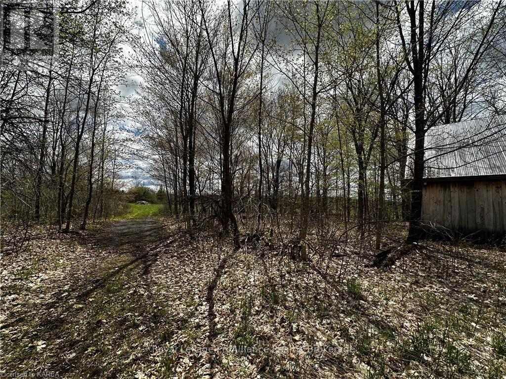 Lot 3 Jamieson Road, South Frontenac, Ontario  K0H 1V0 - Photo 15 - X9410728