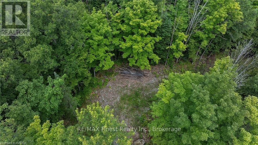 41 Stone Hedge Road, Stone Mills, Ontario  K0K 2L0 - Photo 21 - X9410749