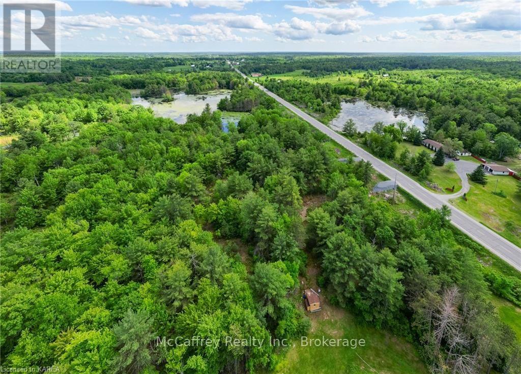 9804 Highway 38, Central Frontenac, Ontario  K0H 1T0 - Photo 7 - X9410849