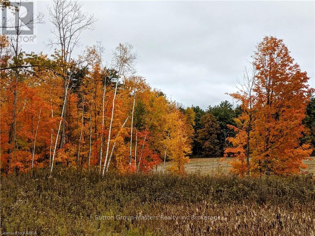 Chry061 - 1235 Villiers Line, Otonabee-South Monaghan, Ontario  K0L 2G0 - Photo 20 - X9411160