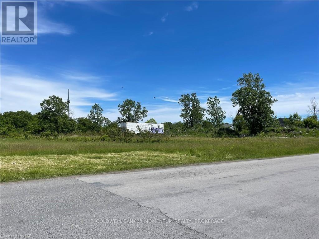 N/a Cement Road, Wainfleet, Ontario  L3K 5V4 - Photo 5 - X9413821