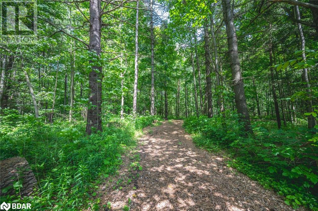 8071 4th Line, Angus, Ontario  L0M 1B1 - Photo 34 - 40678108